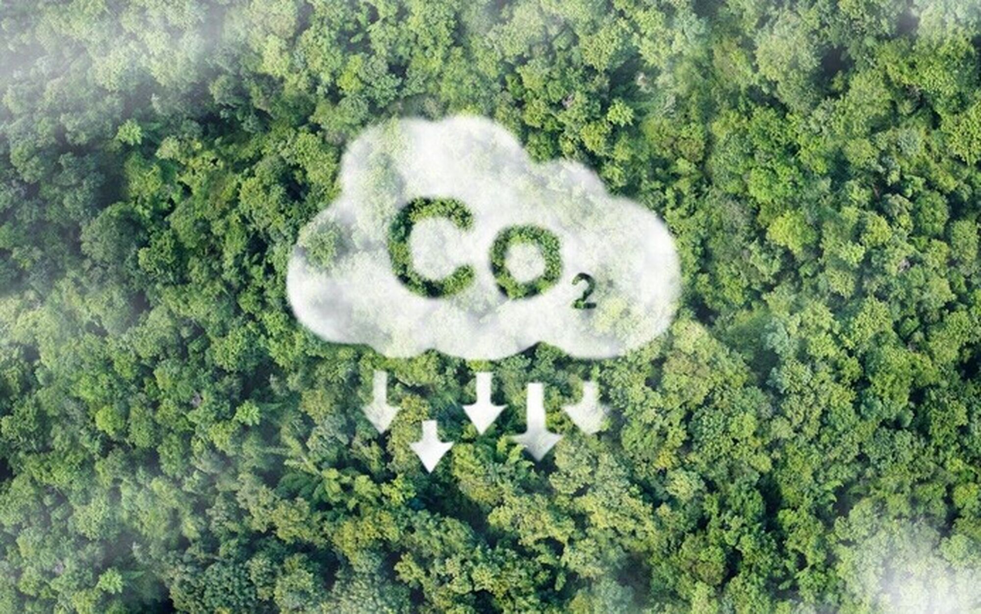 Verification and Certification of Emission Reduction